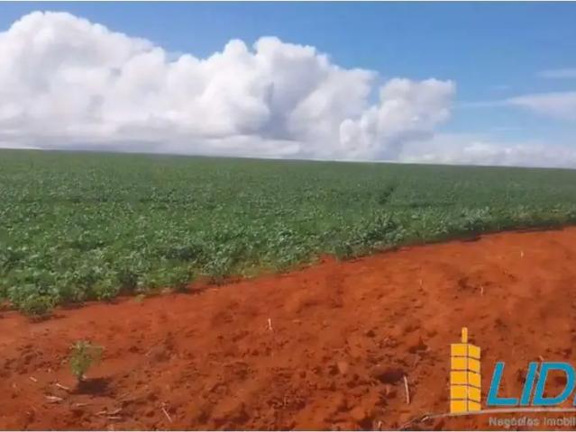 Sítio e chácara venda em Região Geográfica Imediata de Flores de Goiás, Região Integrada de Desenvolvimento do Distrito Federal e Entorno