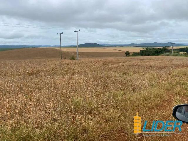 Sítio e chácara venda em Região Geográfica Imediata de Flores de Goiás, Região Integrada de Desenvolvimento do Distrito Federal e Entorno