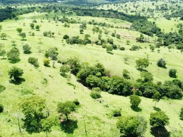 Sítio e chácara venda em Região Geográfica Imediata de Caldas Novas-Morrinhos, Água Limpa
