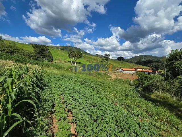 Sítio e chácara venda em Região Imediata de São João da Boa Vista, Águas da Prata