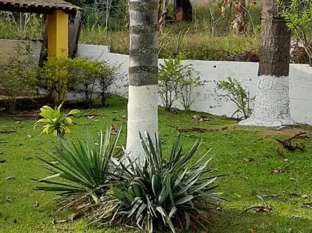 Sítio e chácara venda em Região Imediata de Amparo, Águas de Lindoia