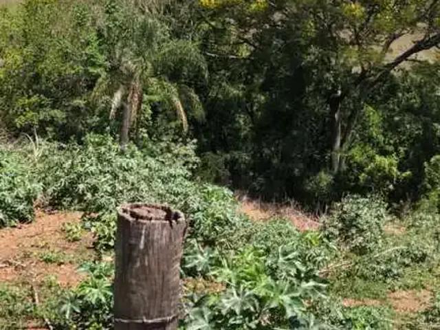 Sítio e chácara venda em Região Imediata de Piracicaba, Região Metropolitana de Piracicaba