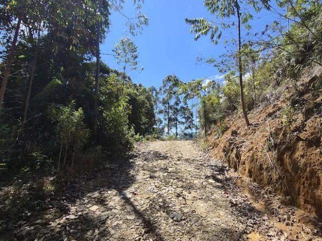 Sítio e chácara venda em Águas Mornas, Região Geográfica Intermediária de Florianópolis
