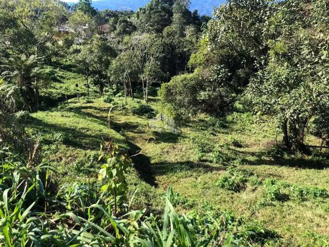 Sítio e chácara venda em Região Geográfica Imediata de Florianópolis, Águas Mornas