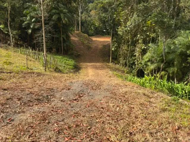 Sítio e chácara venda em Região Geográfica Imediata de Florianópolis, Águas Mornas