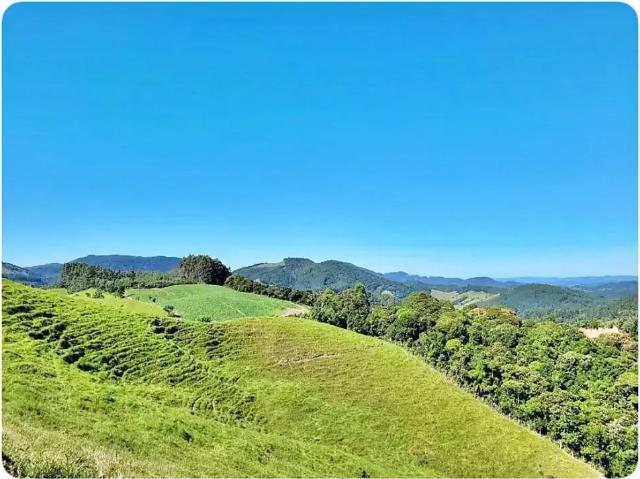 Sítio e chácara venda em Região Geográfica Imediata de Florianópolis, São Bonifacio