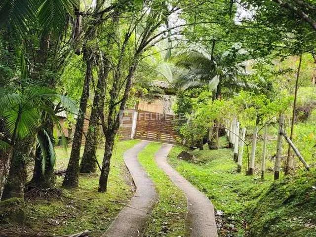 Sítio e chácara venda em Região Geográfica Imediata de Florianópolis, Águas Mornas