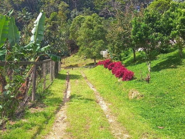 Sítio e chácara venda em Águas Mornas, Região Geográfica Intermediária de Florianópolis