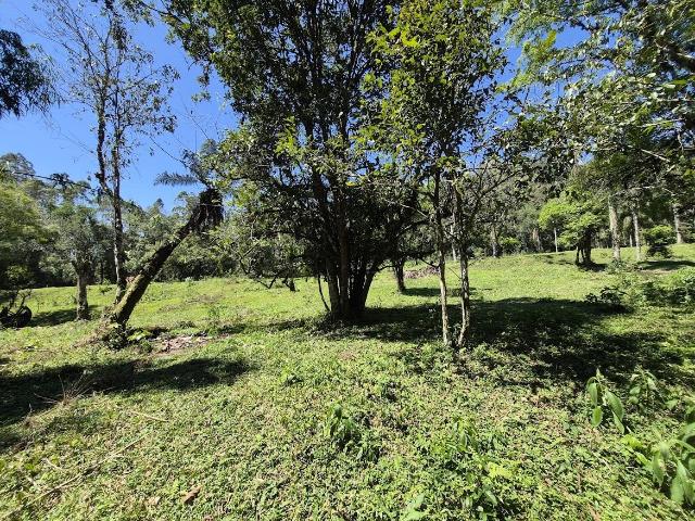 Sítio e chácara venda em Águas Mornas, Região Geográfica Intermediária de Florianópolis
