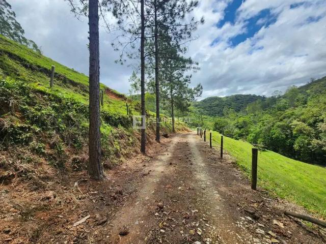 Sítio e chácara venda em Região Geográfica Imediata de Florianópolis, Águas Mornas