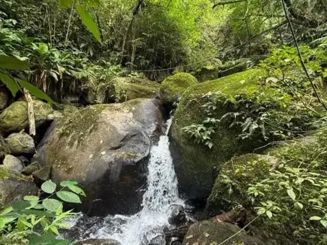 Sítio e chácara venda em Região Geográfica Imediata de Florianópolis, Águas Mornas
