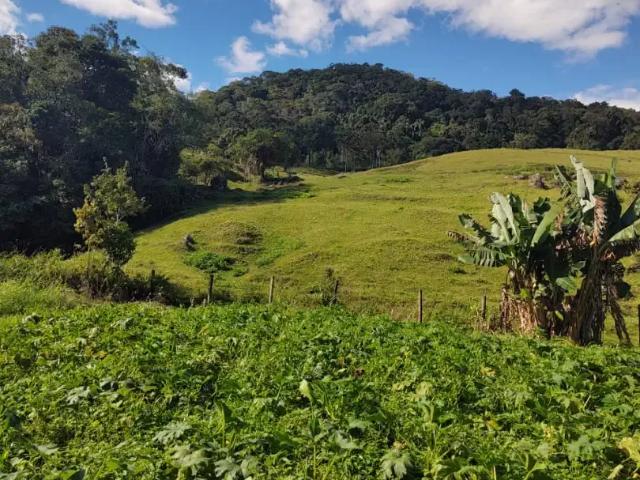 Sítio e chácara venda em Região Geográfica Imediata de Florianópolis, Águas Mornas