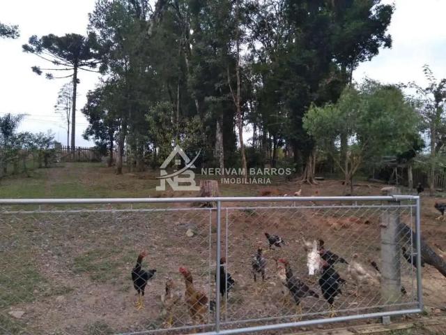 Sítio e chácara venda em Região Geográfica Imediata de Curitiba, Região Metropolitana de Curitiba