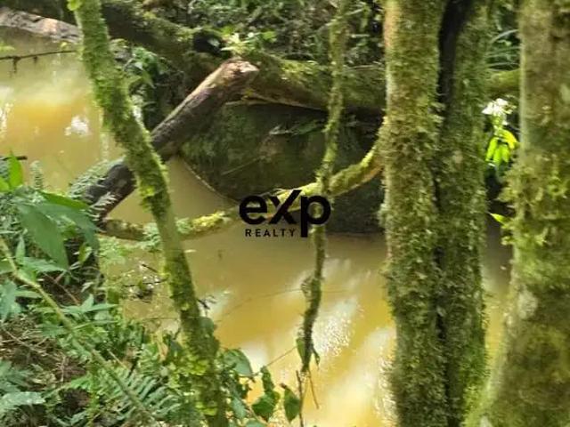 Sítio e chácara venda em Região Geográfica Imediata de Curitiba, Região Metropolitana de Curitiba