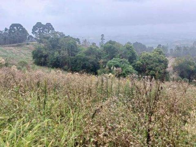 Sítio e chácara venda em Região Geográfica Imediata de Curitiba, Região Metropolitana de Curitiba