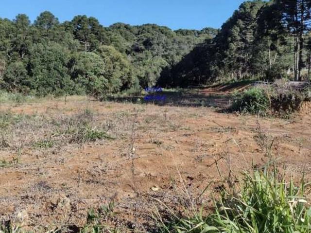Sítio e chácara venda em Região Geográfica Imediata de Curitiba, Região Metropolitana de Curitiba