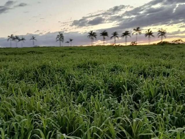 Sítio e chácara venda em Região Imediata de Bauru, Agudos