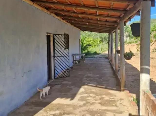 Sítio e chácara venda em Região Geográfica Imediata de Alagoinhas, Alagoinhas