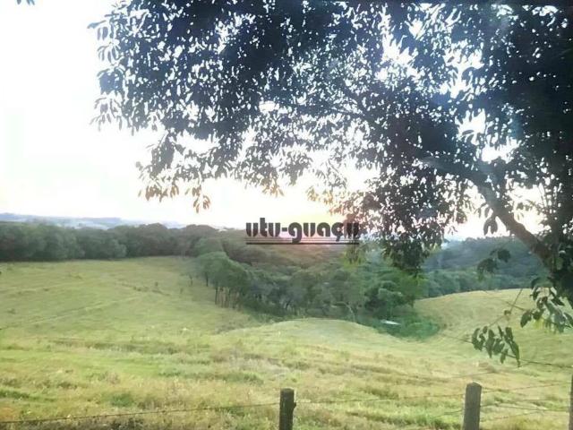 Sítio e chácara venda em Alambari
