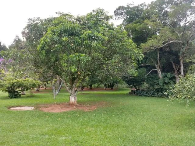 Sítio e chácara venda em Região Imediata de Itapetininga, Região Metropolitana de Sorocaba
