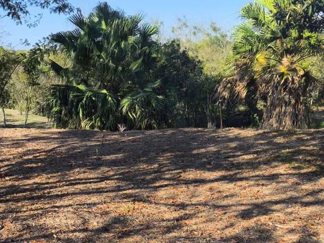 Sítio e chácara venda em Região Imediata de Itapetininga, Região Metropolitana de Sorocaba