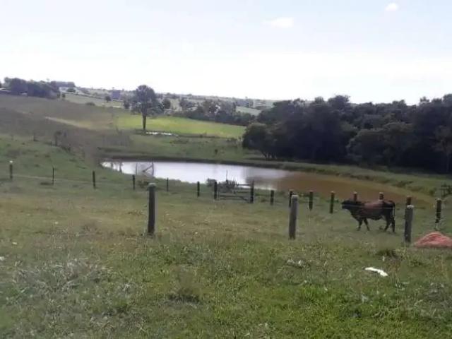 Sítio e chácara venda em Alambari
