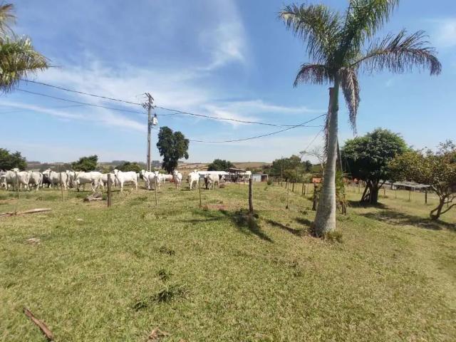 Sítio e chácara venda em Região Imediata de Itapetininga, Região Metropolitana de Sorocaba