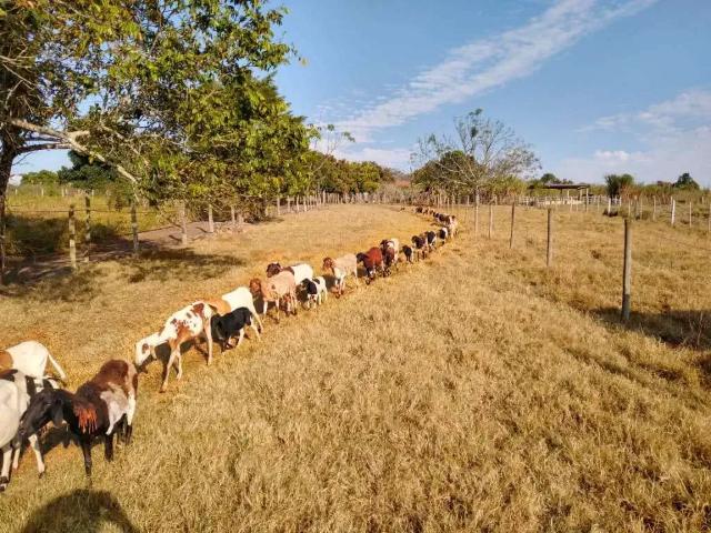 Sítio e chácara venda em Região Imediata de Itapetininga, Região Metropolitana de Sorocaba