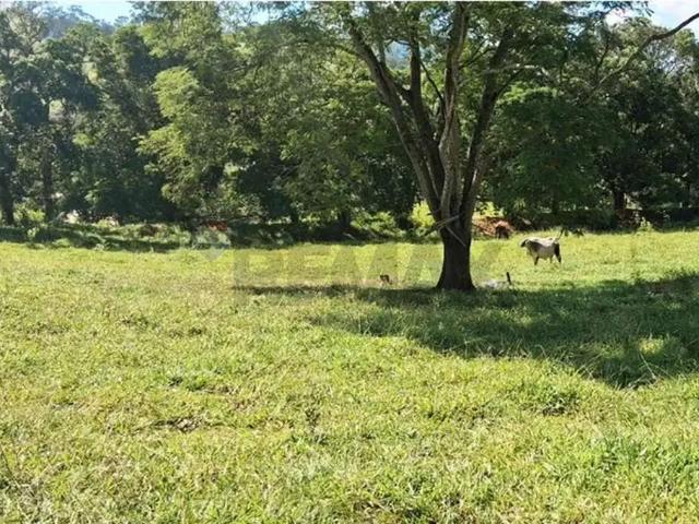 Sítio e chácara venda em Além Paraíba, Região Sudeste