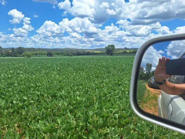 Sítio e chácara venda em Região Geográfica Imediata de Anápolis, Região Integrada de Desenvolvimento do Distrito Federal e Entorno