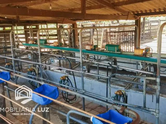 Sítio e chácara venda em Região Geográfica Imediata de Anápolis, Região Integrada de Desenvolvimento do Distrito Federal e Entorno
