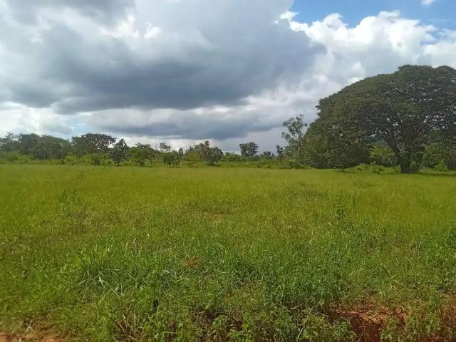 Sítio e chácara venda em Região Geográfica Imediata de Anápolis, Região Integrada de Desenvolvimento do Distrito Federal e Entorno