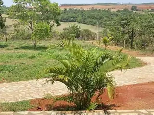 Sítio e chácara venda em Região Geográfica Imediata de Anápolis, Região Integrada de Desenvolvimento do Distrito Federal e Entorno