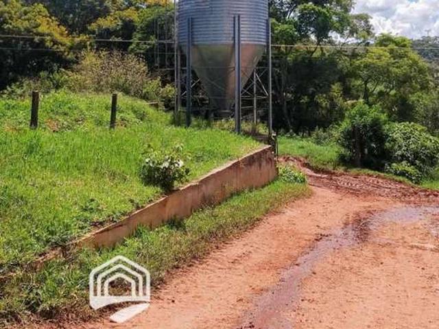 Sítio e chácara venda em Alexânia, Região Geográfica Intermediária de Goiânia