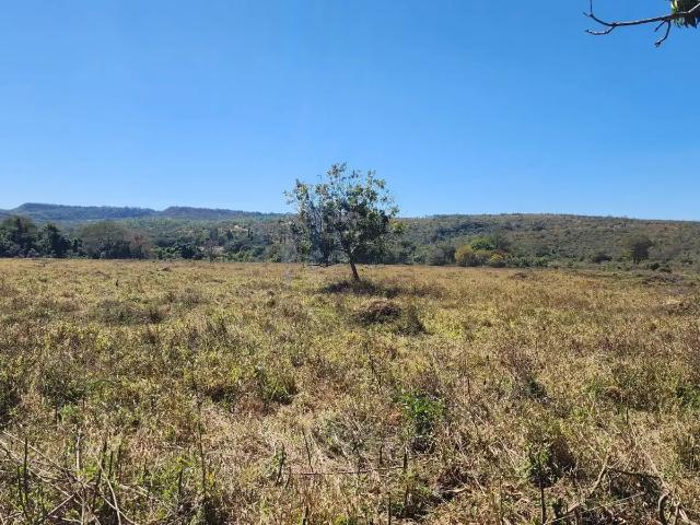 Sítio e chácara venda em Região Geográfica Imediata de Anápolis, Região Integrada de Desenvolvimento do Distrito Federal e Entorno