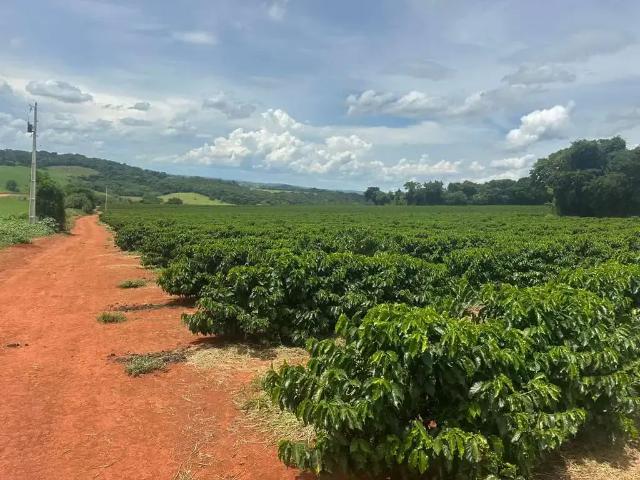 Sítio e chácara venda em Região Geográfica Imediata de Alfenas, Alfenas