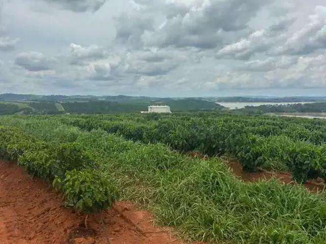 Sítio e chácara venda em Região Geográfica Imediata de Alfenas, Alfenas