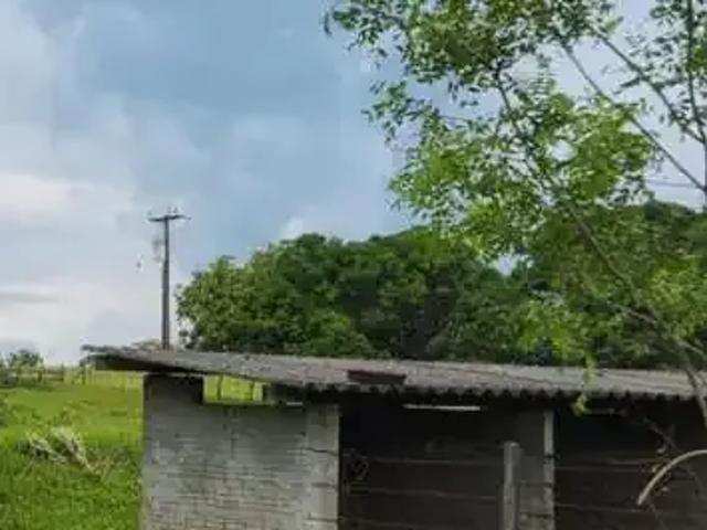 Sítio e chácara venda em Região Imediata de Presidente Prudente, Alfredo Marcondes