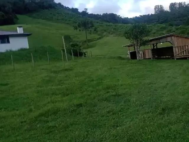 Sítio e chácara venda em Região Geográfica Imediata de Florianópolis, Alfredo Wagner