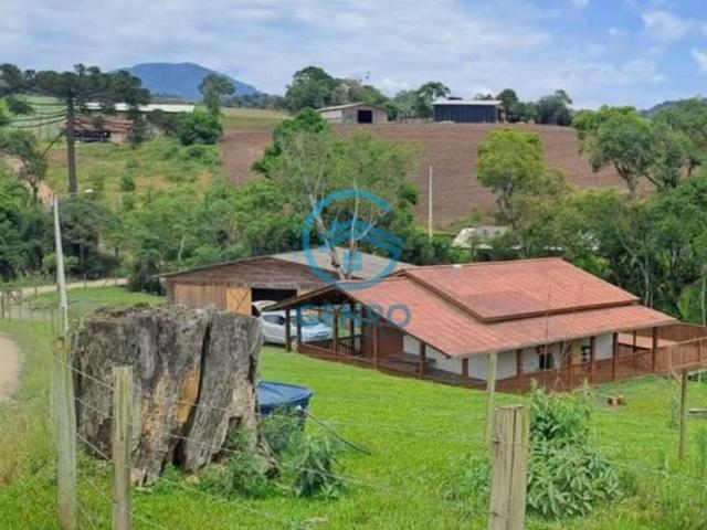 Sitio venda em Alfredo Wagner, Vorstadt