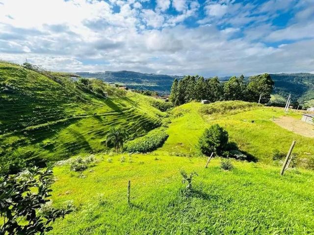 Sítio e chácara venda em Região Geográfica Imediata de Florianópolis, Alfredo Wagner