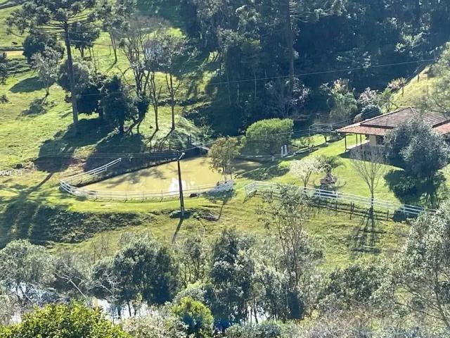 Sítio e chácara venda em Região Geográfica Imediata de Florianópolis, Alfredo Wagner