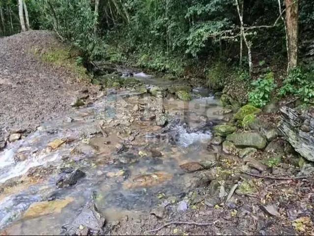Sítio e chácara venda em Região Geográfica Imediata de Florianópolis, Alfredo Wagner