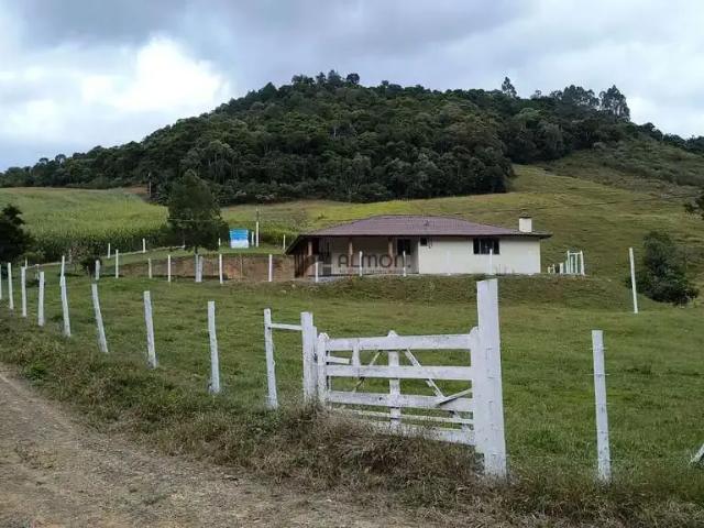 Sítio e chácara venda em Região Geográfica Imediata de Florianópolis, Alfredo Wagner