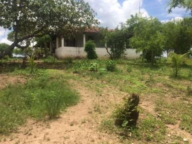 Sítio e chácara venda em Região Geográfica Imediata de Goiana-Timbaúba, Aliança