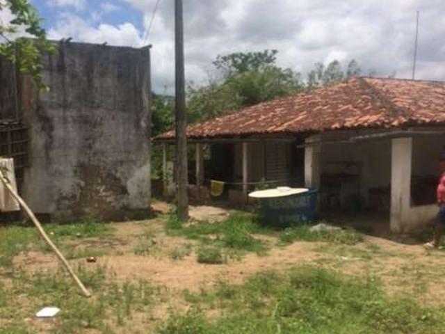Sítio e chácara venda em Região Geográfica Imediata de Goiana-Timbaúba, Aliança