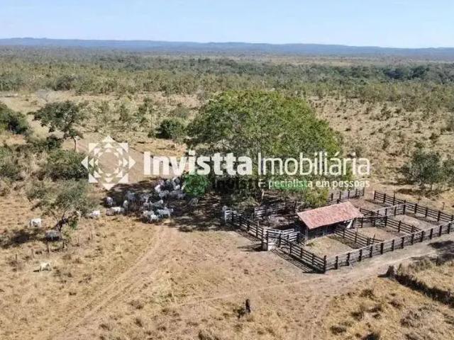 Sítio e chácara venda em Região Geográfica Imediata de Dianópolis, Porto Alegre do Tocantins