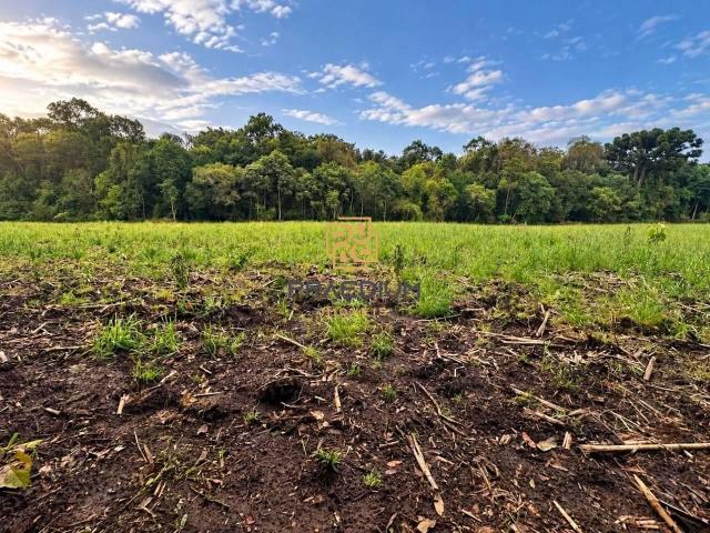 Sítio e chácara venda em Botiatuba, Almirante Tamandaré