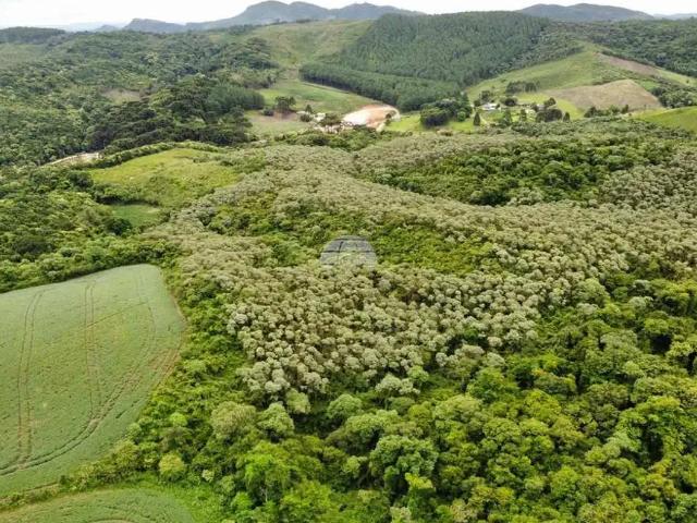 Sítio e chácara venda em Região Geográfica Imediata de Curitiba, Região Metropolitana de Curitiba