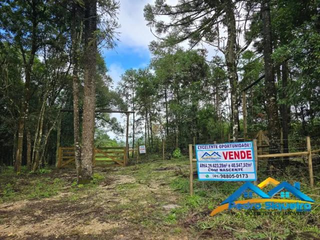 Sítio e chácara venda em Região Geográfica Imediata de Curitiba, Região Metropolitana de Curitiba